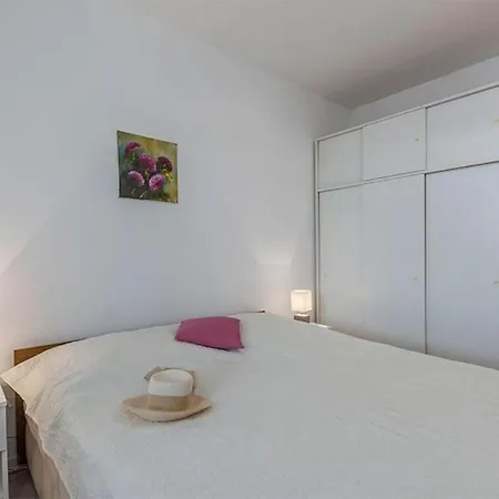 Neva Новиград