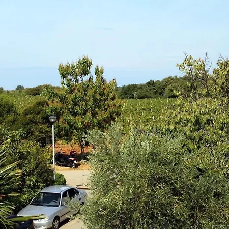 公寓 Neva Novigrad Istria