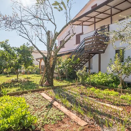 Neva Apartment Novigrad (Istria)